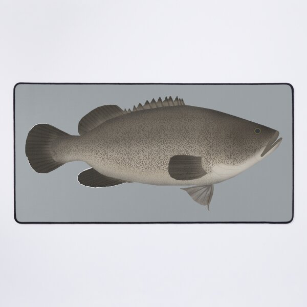 Item preview, Murray Cod designed and sold by fishfolkart.
