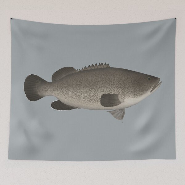 Item preview, Murray Cod designed and sold by fishfolkart.