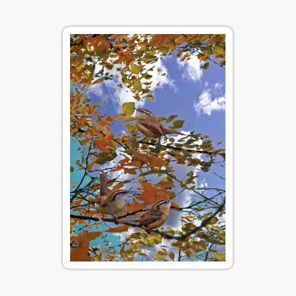 Item preview, Carolina Wrens designed and sold by billfox256.