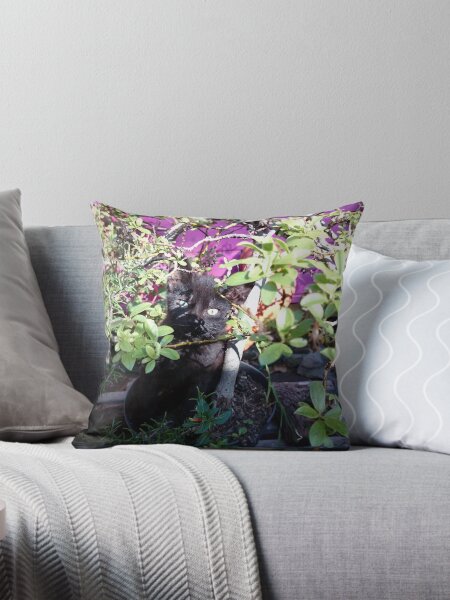 Artikel-Vorschau von Kater Paule als Blume, designt und verkauft von Gourmetkater.