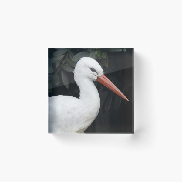 Item preview, White Stork portrait designed and sold by TwistedClassics.