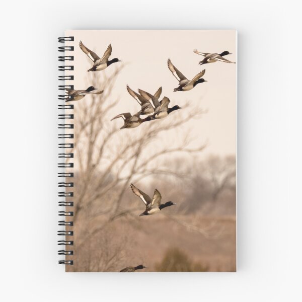 Item preview, Ducks Take Off From the Lake designed and sold by Debra Martz.