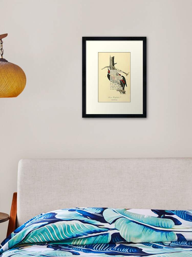 Thumbnail 2 of 7, Framed Art Print, Bird Divination: Lewis's Woodpecker (almanacofbirds.org) designed and sold by mariapopova.