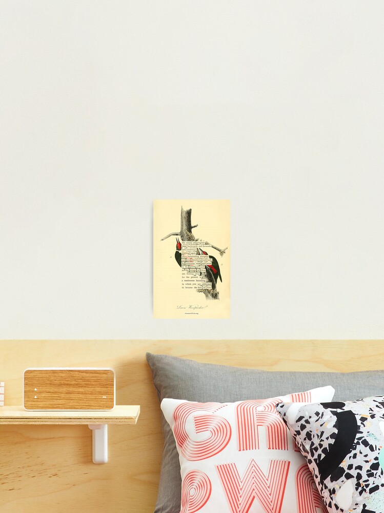 Thumbnail 2 of 3, Photographic Print, Bird Divination: Lewis's Woodpecker (almanacofbirds.org) designed and sold by mariapopova.