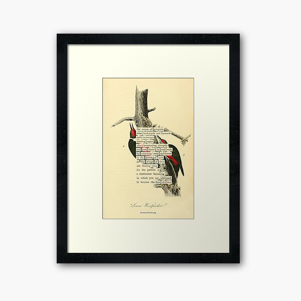 Framed Art Print