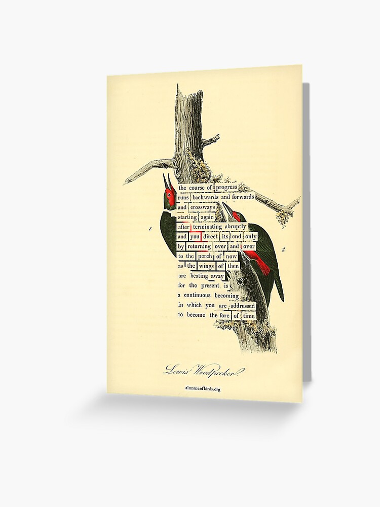 Thumbnail 1 of 2, Greeting Card, Bird Divination: Lewis's Woodpecker (almanacofbirds.org) designed and sold by mariapopova.