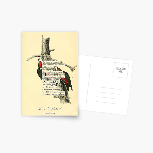 Item preview, Bird Divination: Lewis's Woodpecker (almanacofbirds.org) designed and sold by mariapopova.