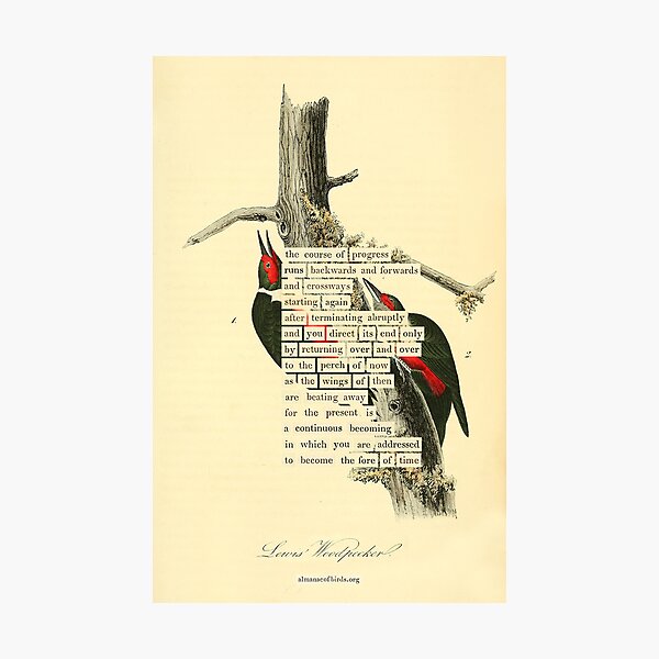 Photographic Print