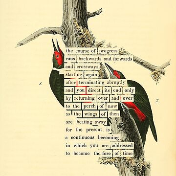 Artwork thumbnail, Bird Divination: Lewis's Woodpecker (almanacofbirds.org) by mariapopova