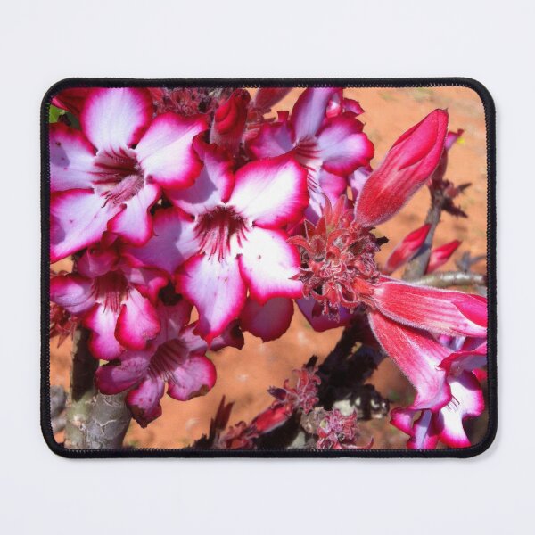Item preview, Sabi Sabi designed and sold by RosJoy.