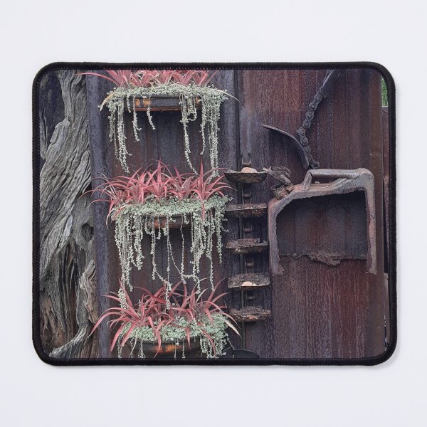Aperçu de l'œuvre Art du jardin créée et vendue par RosJoy.