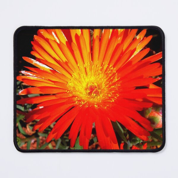 Item preview, Outrageous Orange designed and sold by RosJoy.
