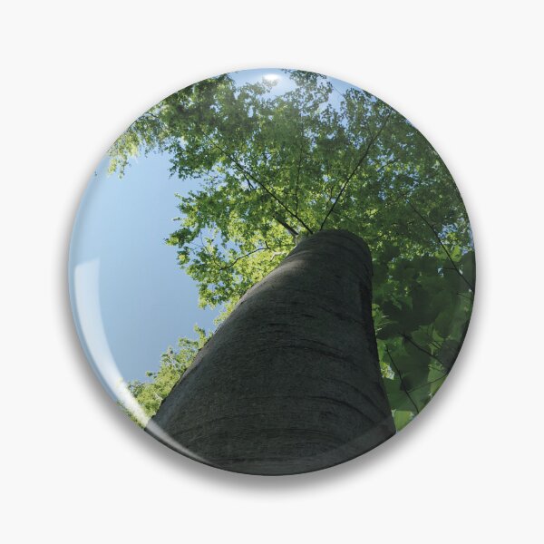 Item preview, large trees in the forest, Swabian Alb designed and sold by Mauswohn.