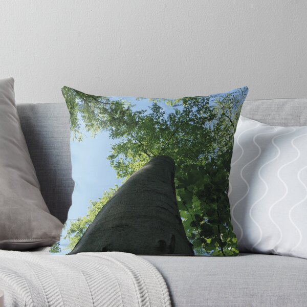 Item preview, large trees in the forest, Swabian Alb designed and sold by Mauswohn.