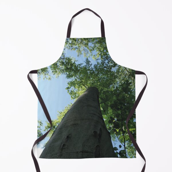 Item preview, large trees in the forest, Swabian Alb designed and sold by Mauswohn.