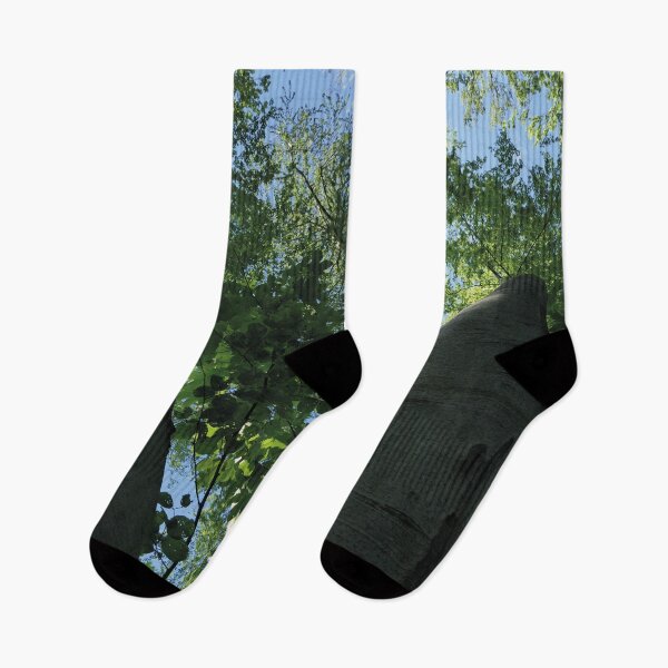 Item preview, large trees in the forest, Swabian Alb designed and sold by Mauswohn.