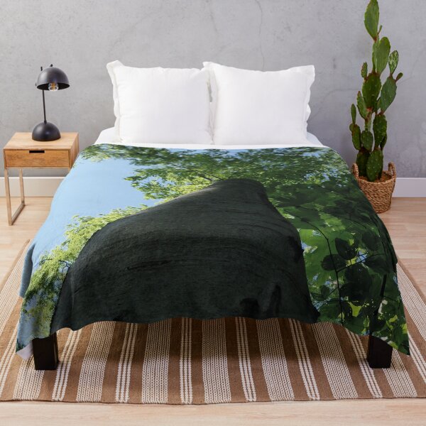 Item preview, large trees in the forest, Swabian Alb designed and sold by Mauswohn.