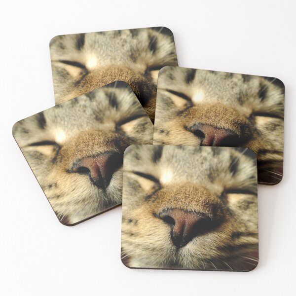 Item preview, Cat Nap  designed and sold by sermelis.
