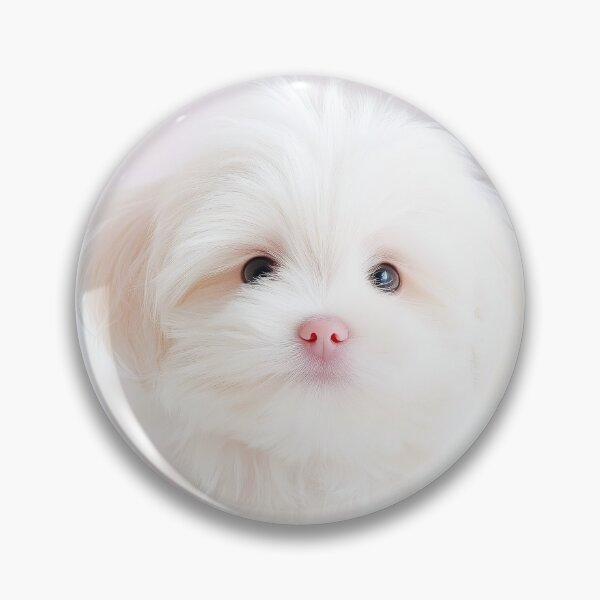 Item preview, Paws-itively Precious designed and sold by CHCOfficial.