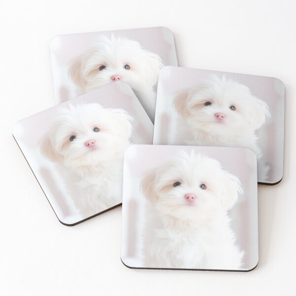 Item preview, Paws-itively Precious designed and sold by CHCOfficial.