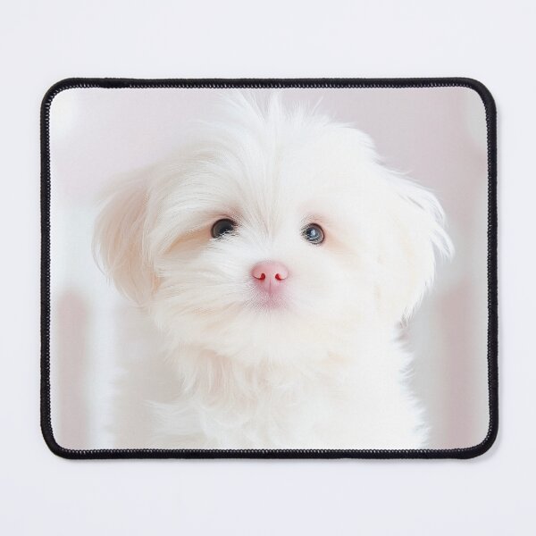 Item preview, Paws-itively Precious designed and sold by CHCOfficial.