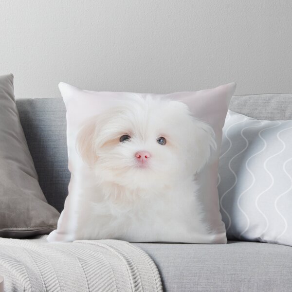 Item preview, Paws-itively Precious designed and sold by CHCOfficial.