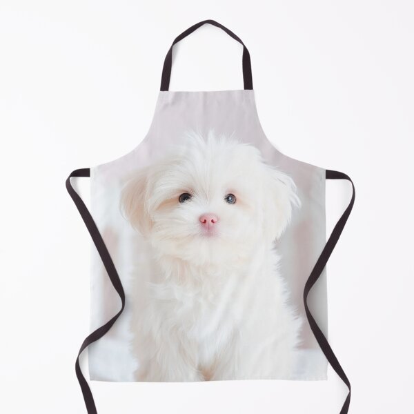 Item preview, Paws-itively Precious designed and sold by CHCOfficial.