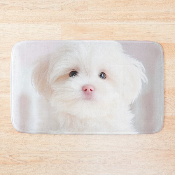 Item preview, Paws-itively Precious designed and sold by CHCOfficial.