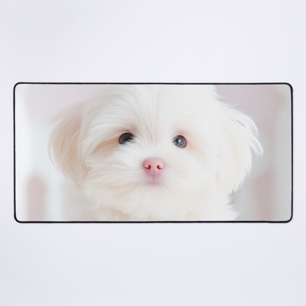 Item preview, Paws-itively Precious designed and sold by CHCOfficial.
