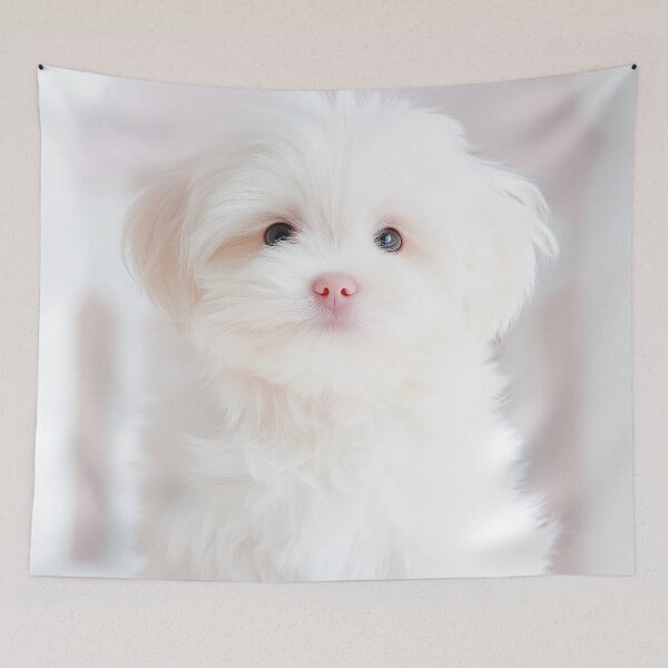 Item preview, Paws-itively Precious designed and sold by CHCOfficial.