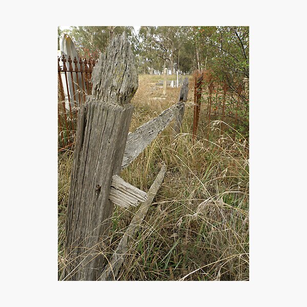 Item preview, The Forgotten Ones. designed and sold by CapturedByKylie.