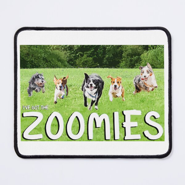 Item preview, Does your dog get the zooms designed and sold by ImALuckyDog.