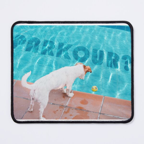 Item preview, Take the parkour leap.  Get the tennis ball. designed and sold by ImALuckyDog.