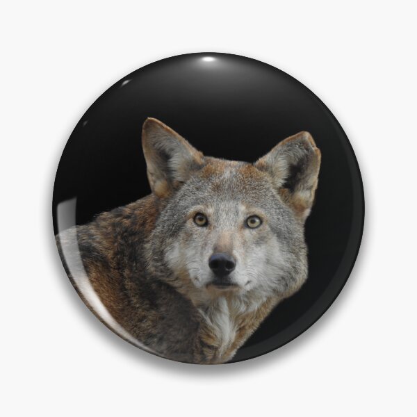 Item preview, Red Wolf  designed and sold by andrew82984.