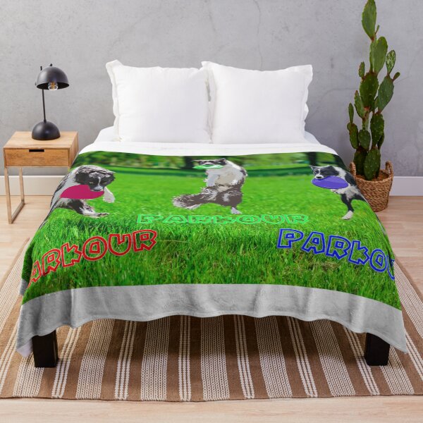 Item preview, Border collie parkour.  They are the best at it. designed and sold by ImALuckyDog.