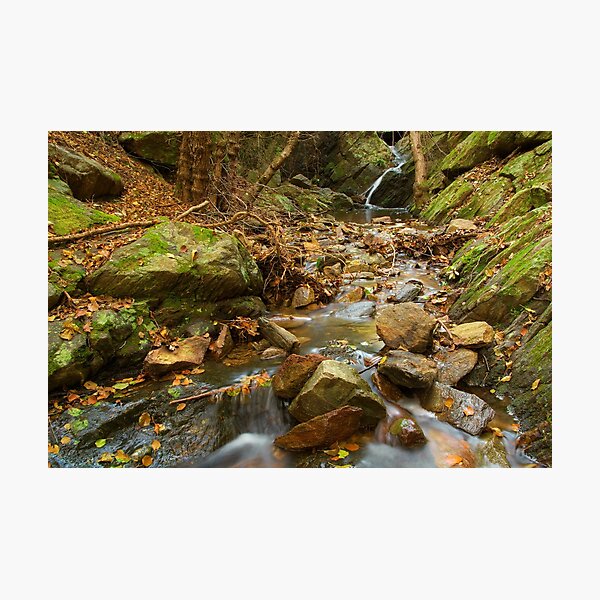 Item preview, Autumn river designed and sold by Patrick Morand.