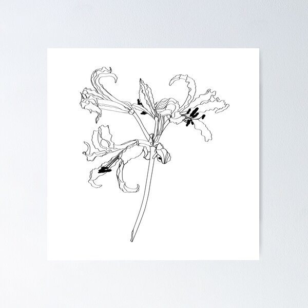 Item preview, Set of luxury flowers and logo. Trendy botanical elements.  designed and sold by MatyKotiv.