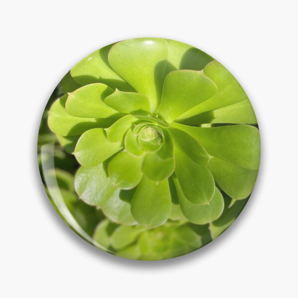 Item preview, Succulent Bright designed and sold by SucculentLovers.