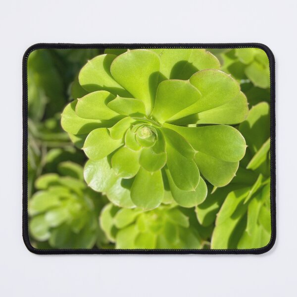 Item preview, Succulent Bright designed and sold by SucculentLovers.