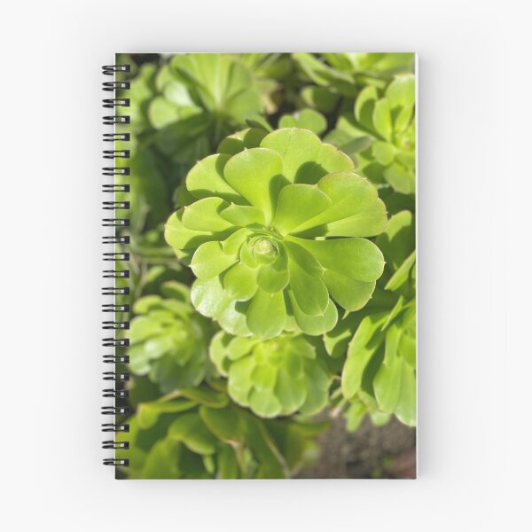 Item preview, Succulent Bright designed and sold by SucculentLovers.