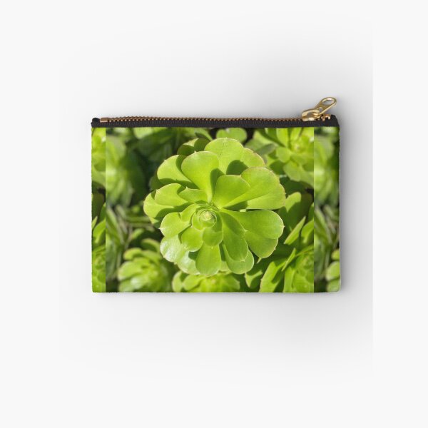 Item preview, Succulent Bright designed and sold by SucculentLovers.