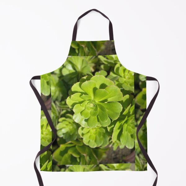 Item preview, Succulent Bright designed and sold by SucculentLovers.