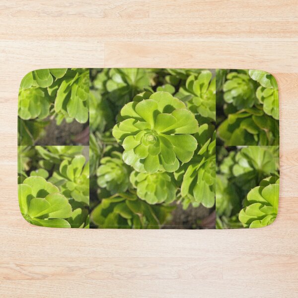 Item preview, Succulent Bright designed and sold by SucculentLovers.