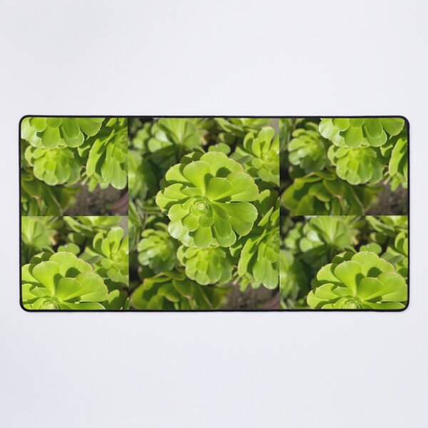 Item preview, Succulent Bright designed and sold by SucculentLovers.
