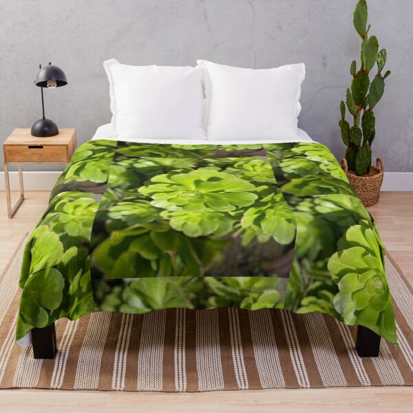 Succulent Bright Throw Blanket