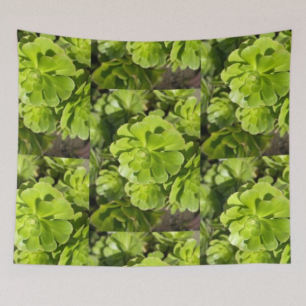 Item preview, Succulent Bright designed and sold by SucculentLovers.