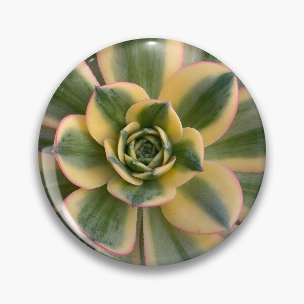 Item preview, Succulent Center Yellow Green designed and sold by SucculentLovers.
