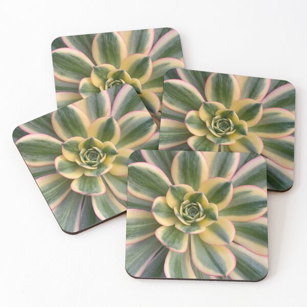 Item preview, Succulent Center Yellow Green designed and sold by SucculentLovers.