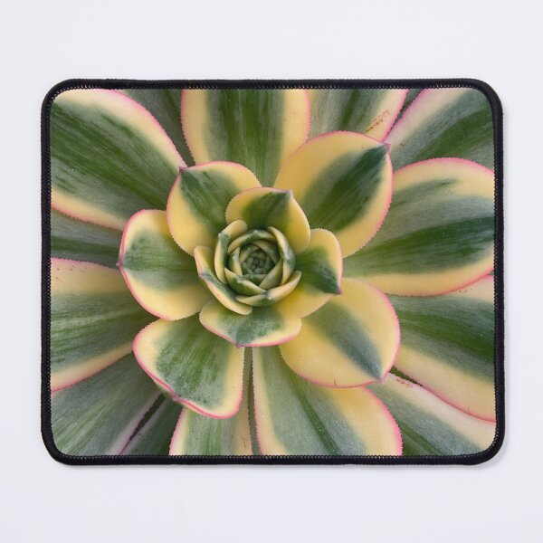 Item preview, Succulent Center Yellow Green designed and sold by SucculentLovers.