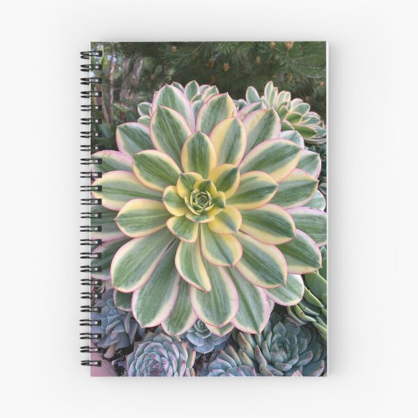 Item preview, Circle Succulent designed and sold by SucculentLovers.
